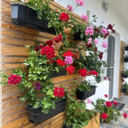 Apartment Frau Trena *
